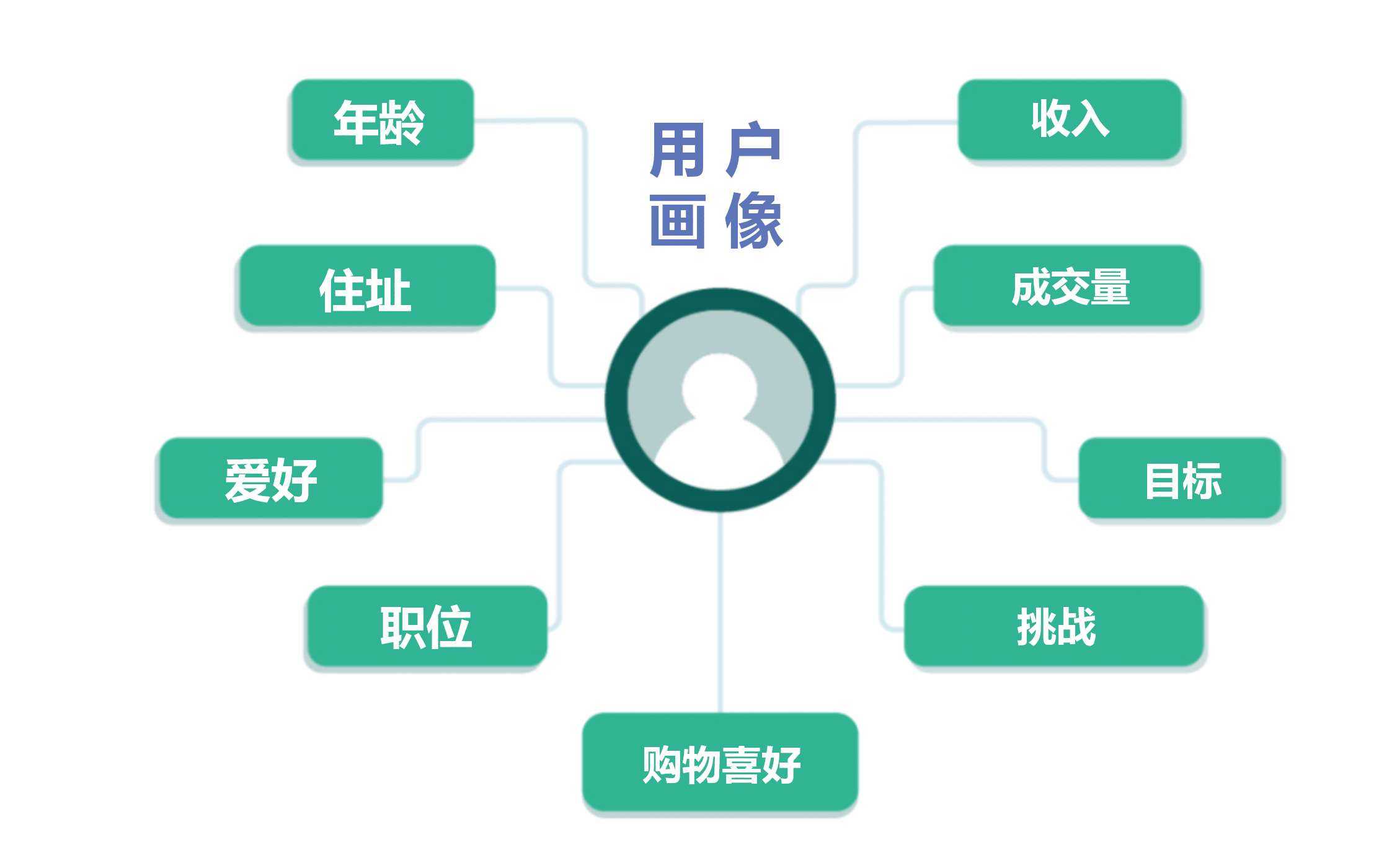 用户画像